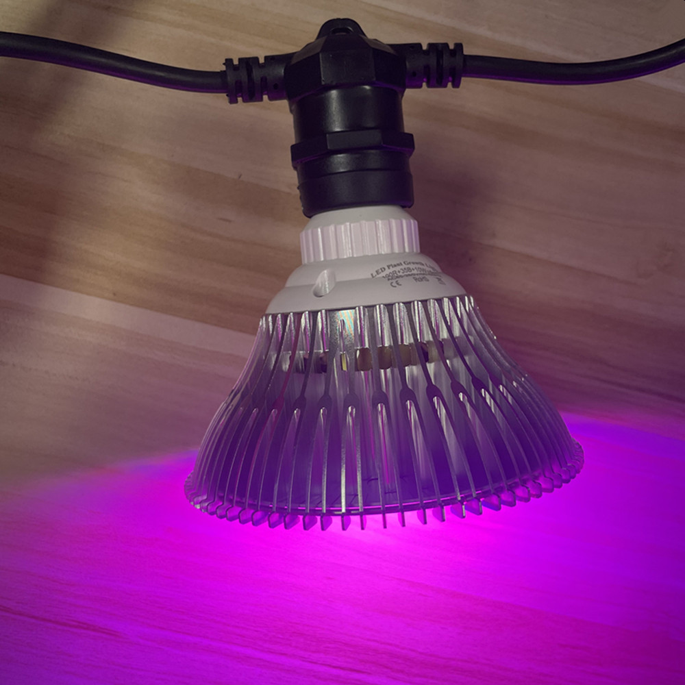 Kabel LED 10M Kelas Komersial  - Outdoor Lighting Cable ulasan dan harga